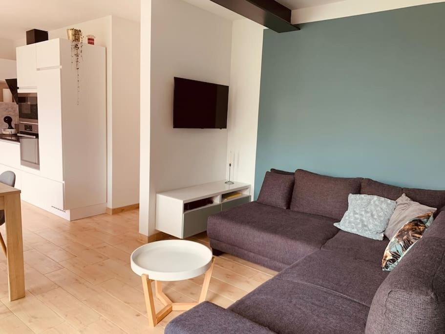 Maison En Plein Centre Avec Terrasse Et Jardin Vielsalm Exteriér fotografie